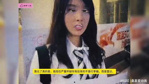 日韩东北搞笑配音视频,日韩搞笑配音视频带你领略东北幽默风趣