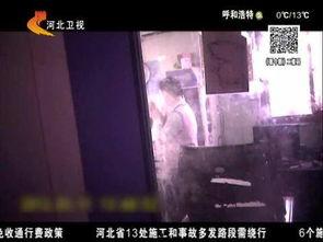 免费成人在线视频,免费成人在线视频的精彩世界