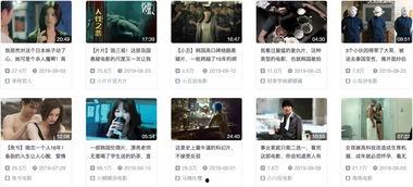 日韩XX免费视频网站,海量资源一网打尽