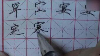 成人练字教学视频