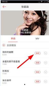 嗨到中日韩歌曲视频下载,热门歌曲视频下载攻略