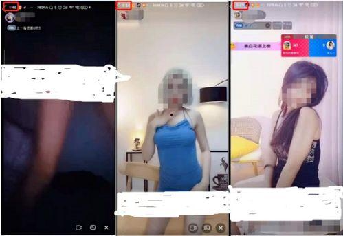 成人久久视频大全,揭秘成人娱乐行业全貌